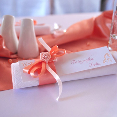 jmenovka - kroužek na ubrousky + 2 ubrousky (31)