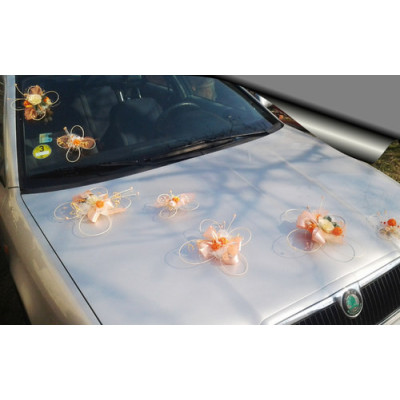 Výzdoba svatebního auta- 7 motýlů