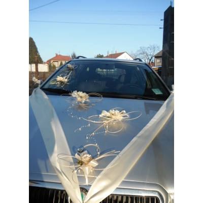 sada na auto pro nevěstu i ženicha