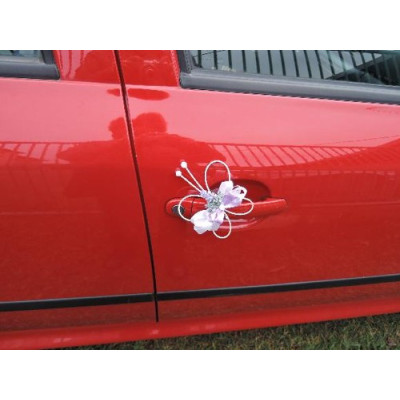 Motýlek na kliku auta